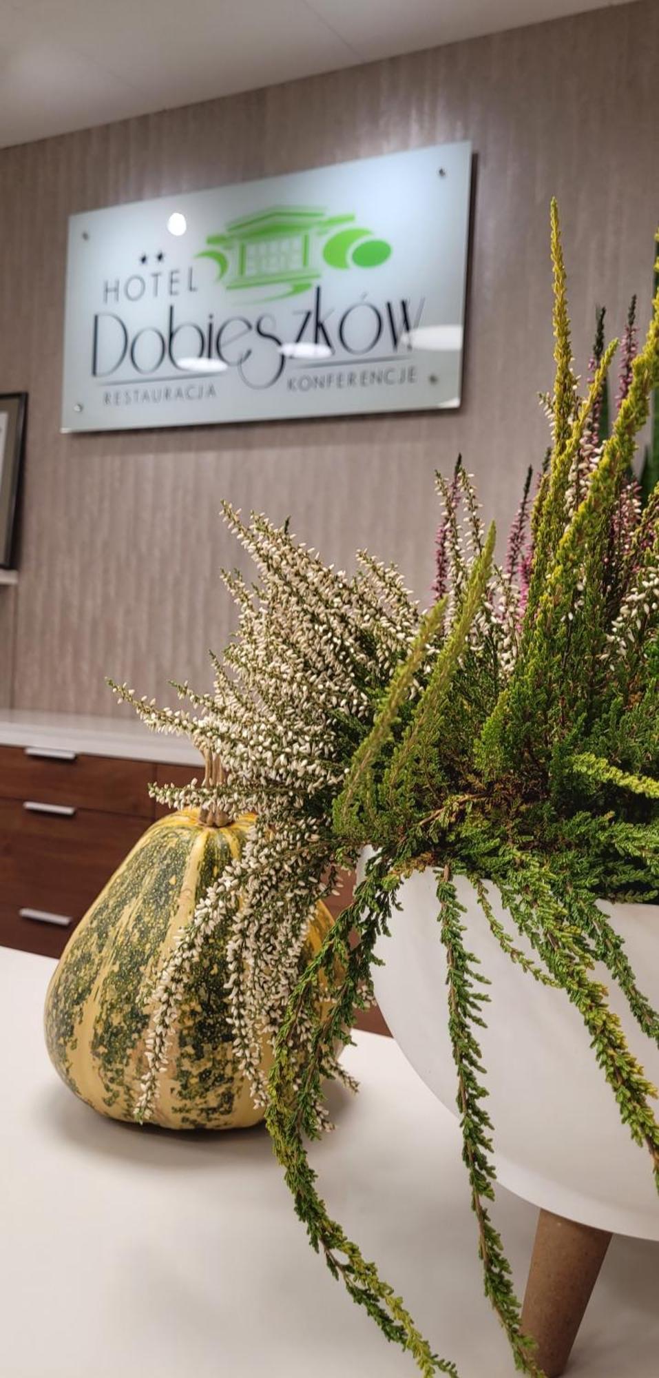 Hotel W Dobieszkowie ستريكوف المظهر الخارجي الصورة