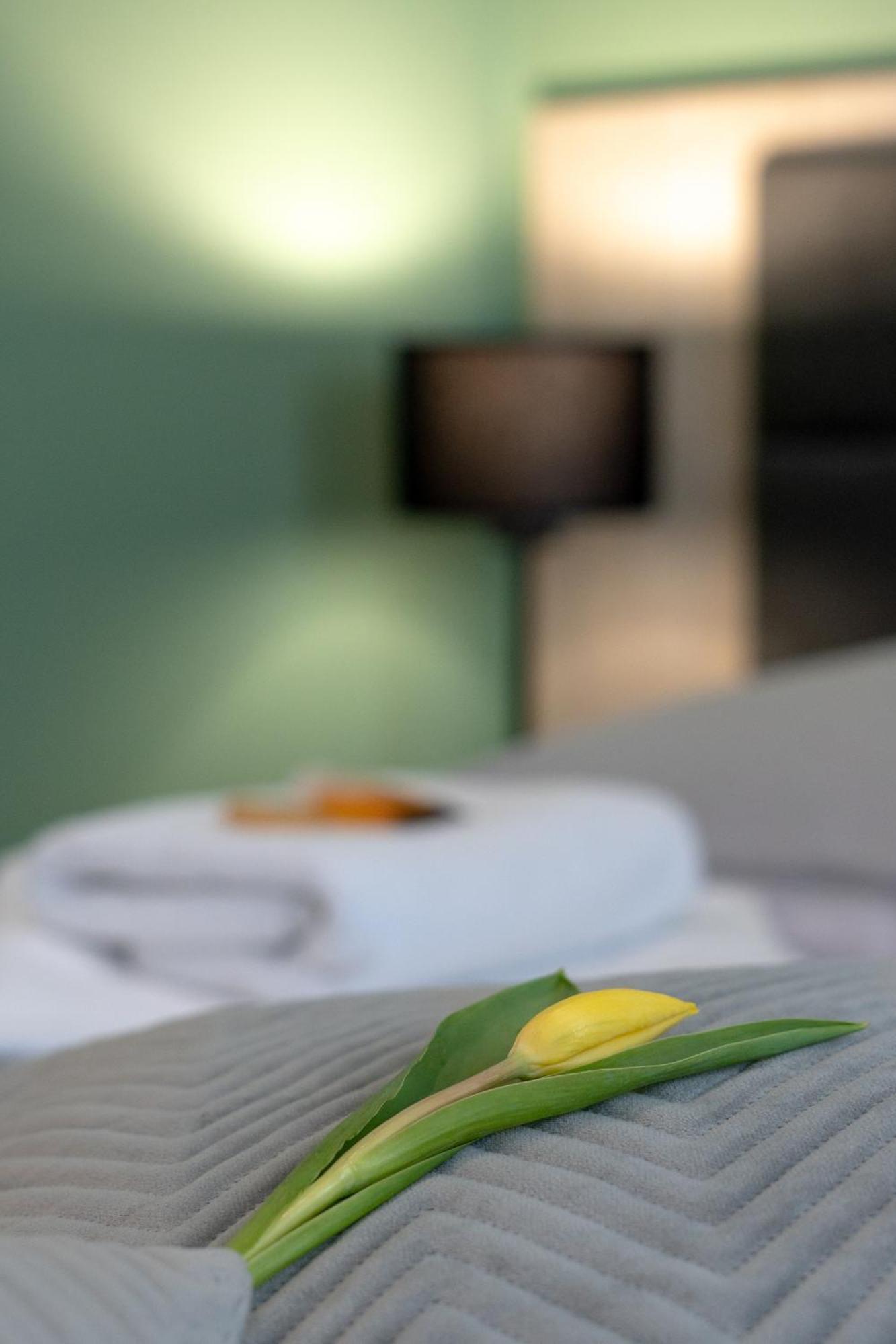 Hotel W Dobieszkowie ستريكوف المظهر الخارجي الصورة
